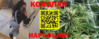 крисы Аргун