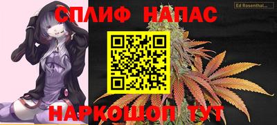 дмт Дубна