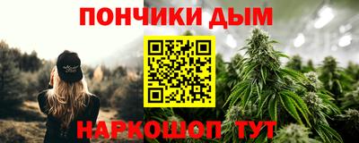 дмт Дубна