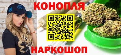 крисы Аргун