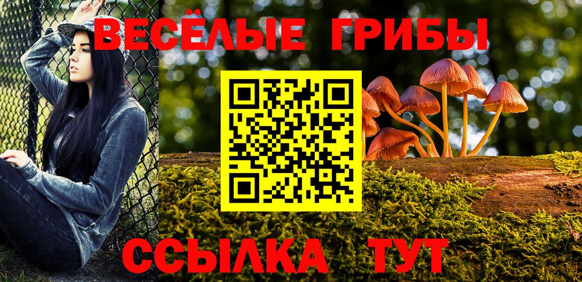 Псилоцибиновые грибы GOLDEN TEACHER  Назарово 