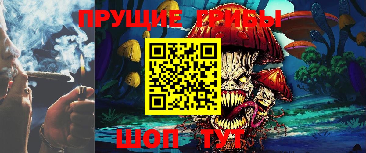 Псилоцибиновые грибы мицелий Назарово