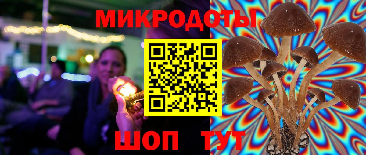 Назарово  Галлюциногенные грибы мицелий  Вход с VPN 
